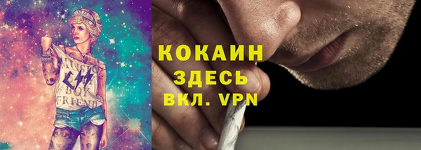 не бодяженный Алексин