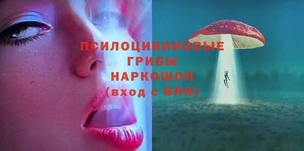 не бодяженный Алексин
