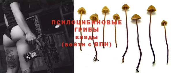 не бодяженный Алексин