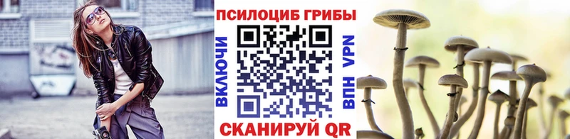 даркнет сайт  Энгельс  Галлюциногенные грибы Magic Shrooms 
